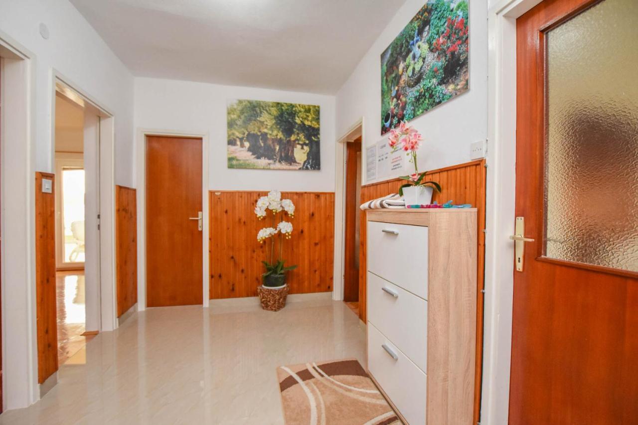 Apartments Dandelion Biograd Na Moru Exterior photo