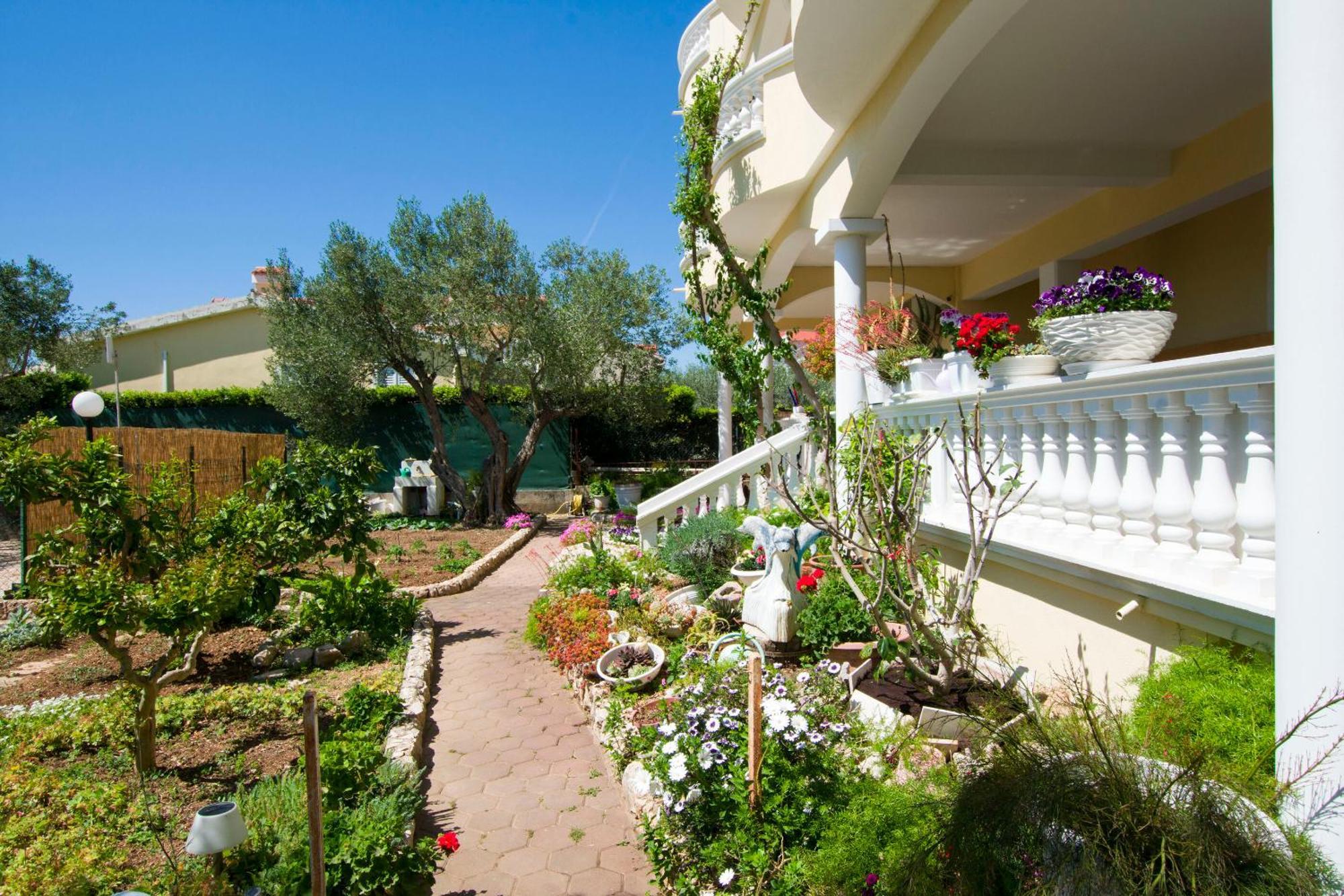 Apartments Dandelion Biograd Na Moru Exterior photo